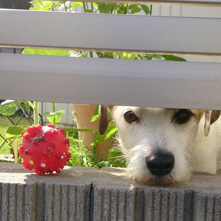 E26ed9f5 80d7 41ba ac19 d806882475b3