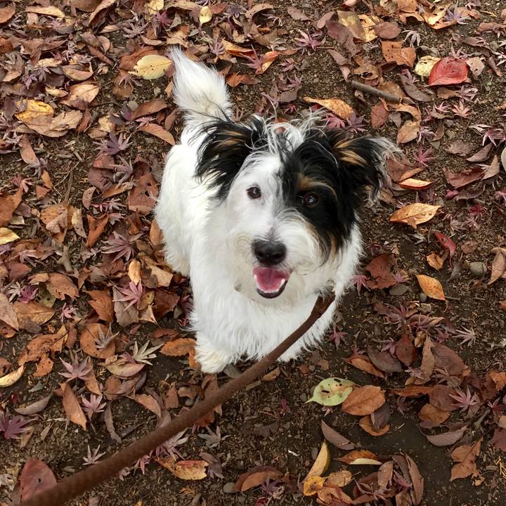 E26f32d7 89e8 4063 ba13 375bb78d57e0