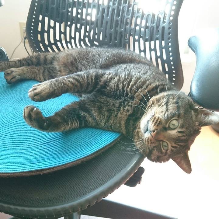 E27061a8 350a 4a5e 9c6d 0dc4a53a496b