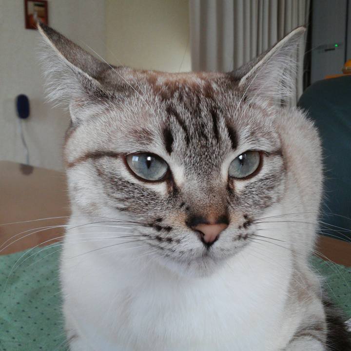 E2706eb9 489c 4967 a6fb b0c0202f0a92