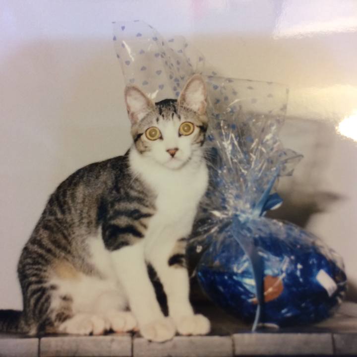 E270868c f9fb 4663 a095 31572e477577