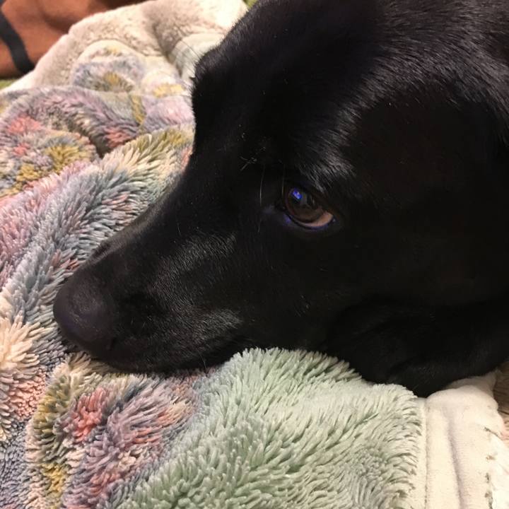 E271c1b8 7cc3 411c 9225 f3b87b7bedb5