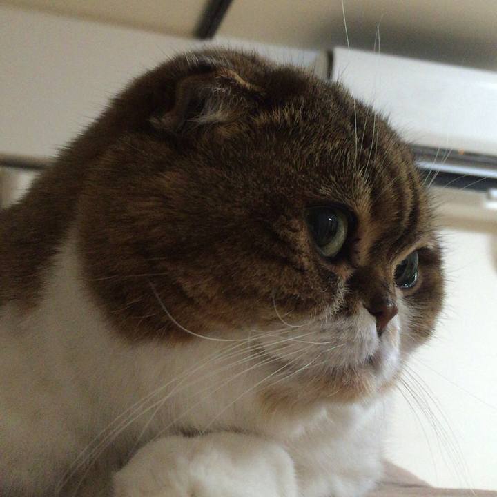 E2721ea3 f7c4 414d 8d4d 1e709bff5313