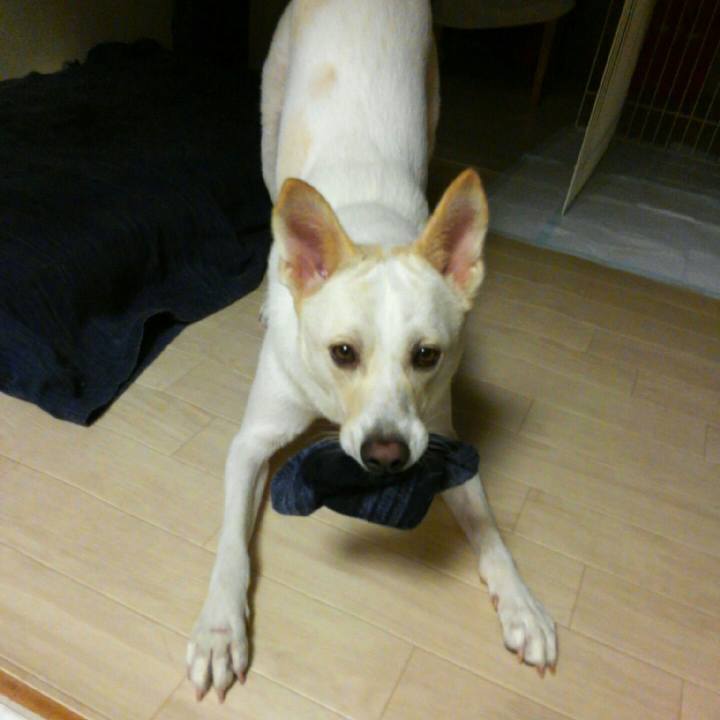 E2730cea 2dce 4eec 8a54 e34004850487