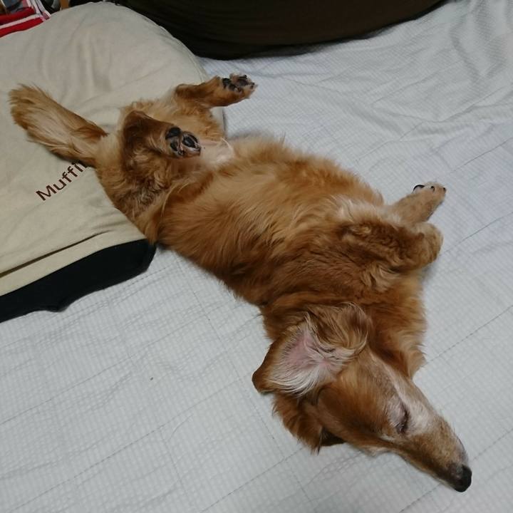 E2735b2e 335c 4051 b1af 22b883fa4517