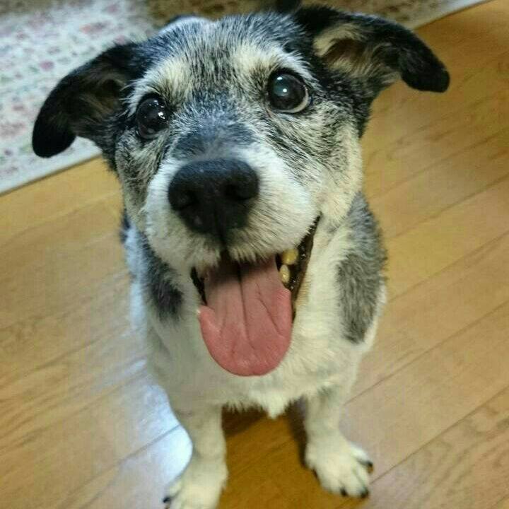 E273883f a1bd 4ac1 932c 9c75767e5d27