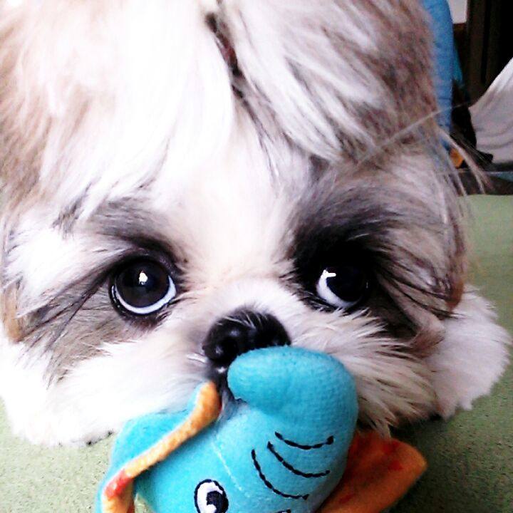 E2742ff4 6b24 4ca0 866e fb7448cca664