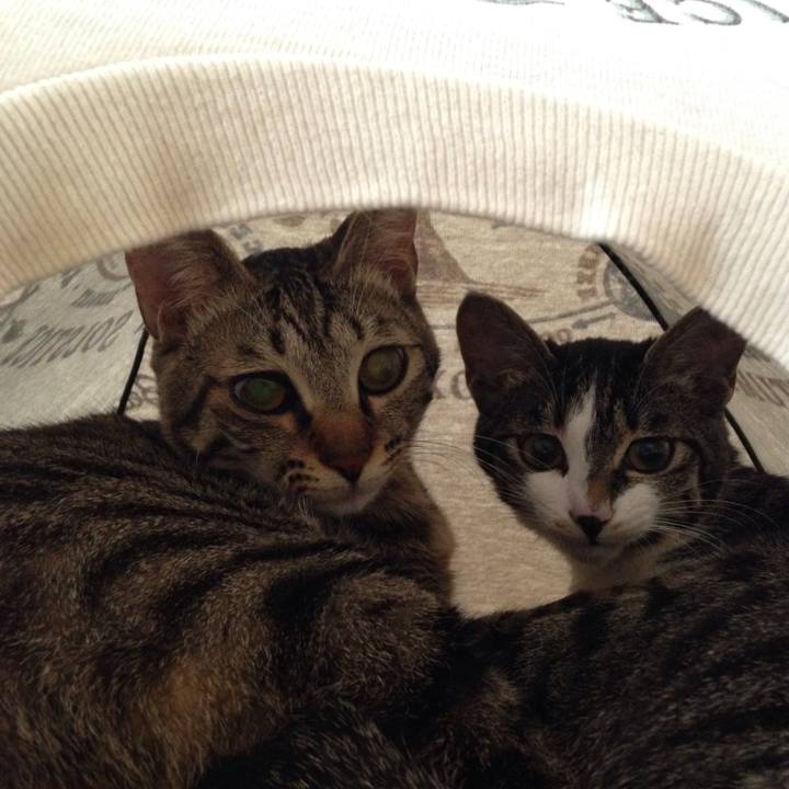 E2746e74 d337 49c9 9acd 5c8c869bec26