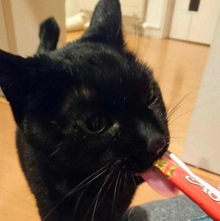 E2749aa1 1781 4cfd b9b8 7b937e02b05d