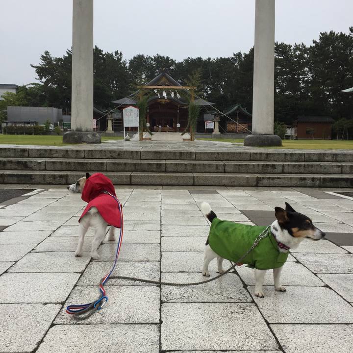 E275049c 606f 46f3 8f3a fece50f16e8d