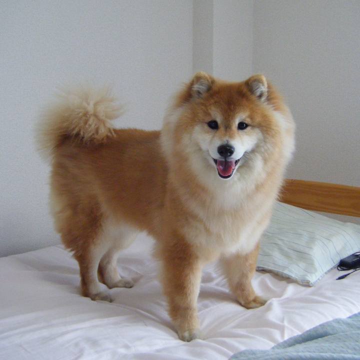 E2755f94 5742 4ee1 9c4b 61038bec3a35