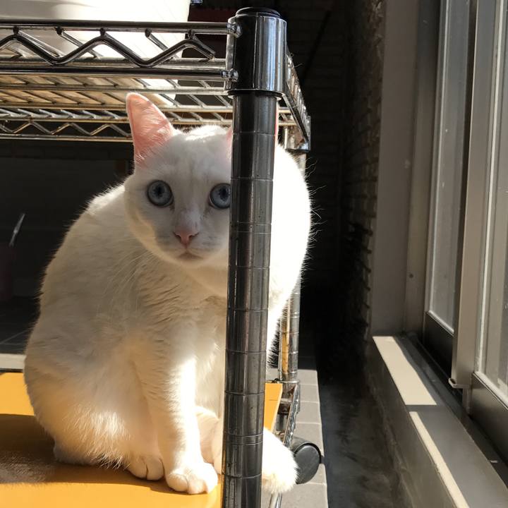 E275a615 d1e8 4bfa 80b5 c56c9ba3d3eb