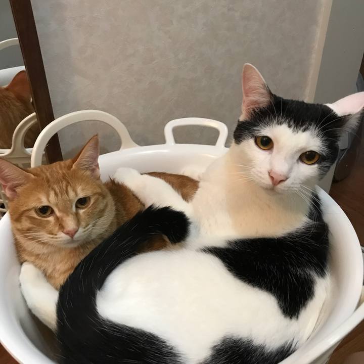 E2765915 2dca 471c 9ce6 08398044e20f