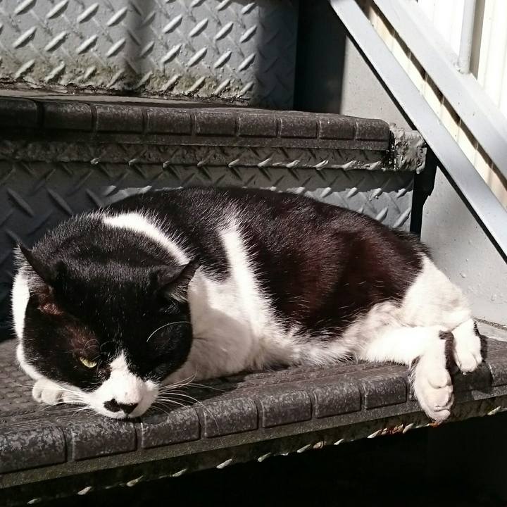 E276973e a1ff 4dd4 a224 4a4a5528ca36