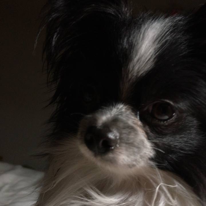 E276b625 e3e1 43ad b5ab a473a6ee4253