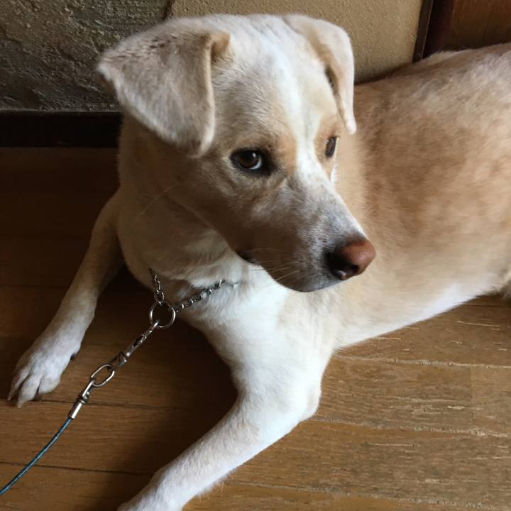 E2783b6a b782 4b48 8272 25cc341437e4