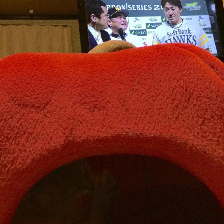 E2793957 5f8a 4264 840b aea373230c26