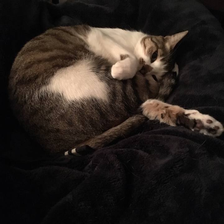 E27a6acc 45fe 4436 803c a0bd04f96790