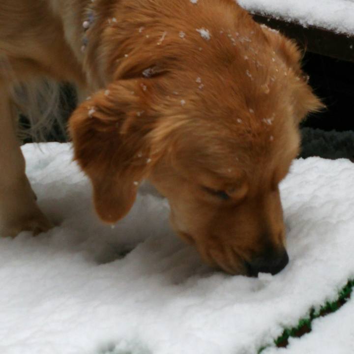 E27a7f9c 8493 4dfe bcf3 bebfa05cac5f