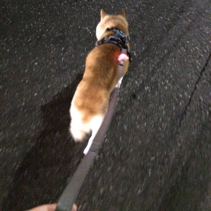 E27b4423 41e4 4387 9110 b4f8bab2361d