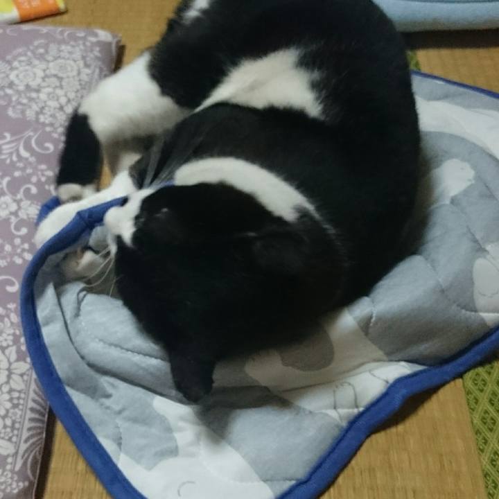 E27c5de8 64c5 420e ab67 a5e62e4c8d3f