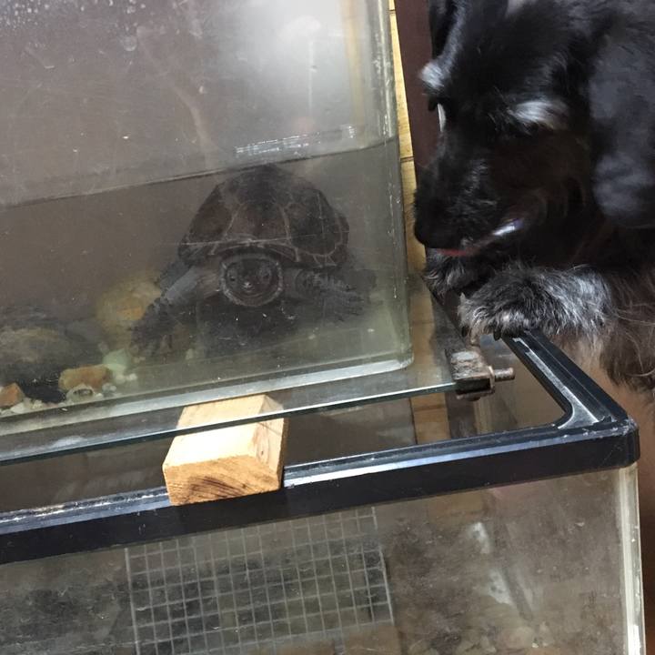 E27d7ac0 123d 4edf 9f8f fbac3b4e199a