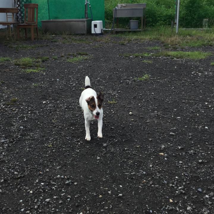 E27d858b ed55 4dc7 aad6 bcbcc7518286