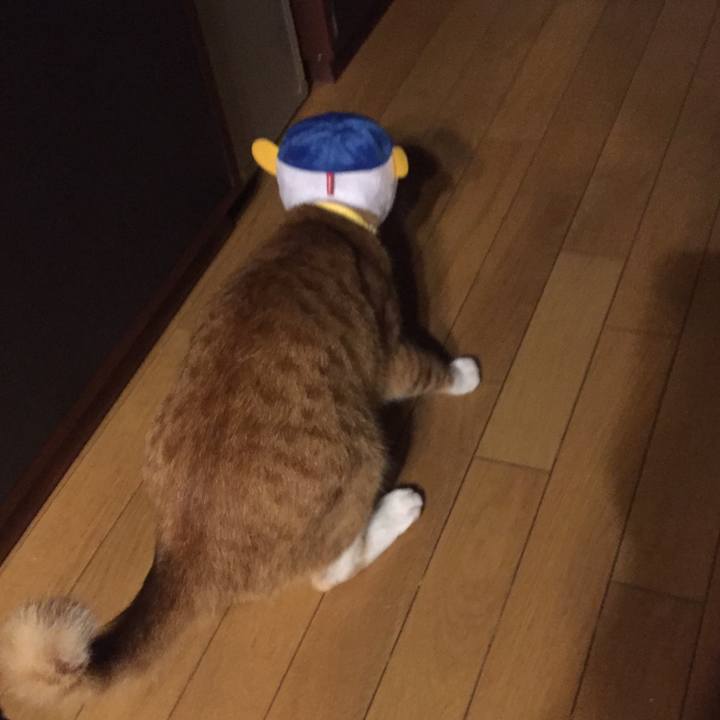 E27e1571 3aed 4a54 809f 22f81830c2f7