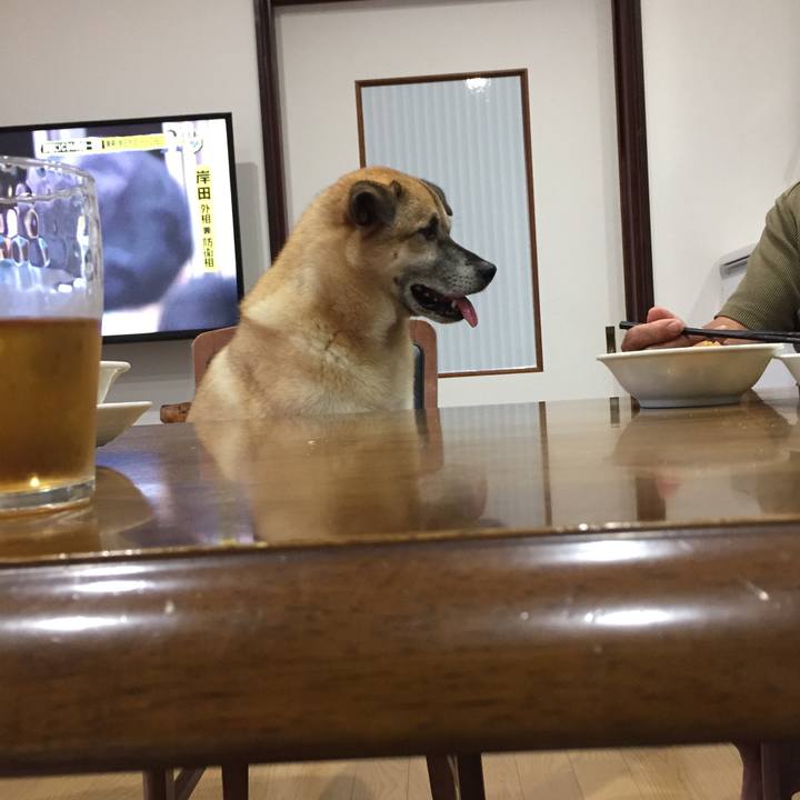 E27e2e8c daf8 4544 ac48 3780c7dade6c