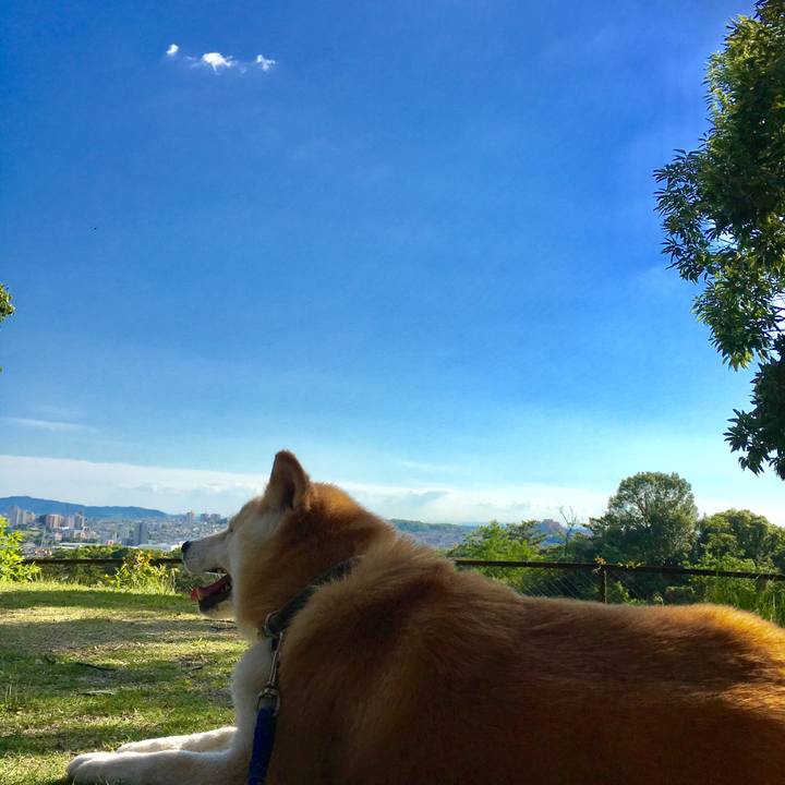 E27f2b06 7349 4f92 bf14 7cf85fc6db4c