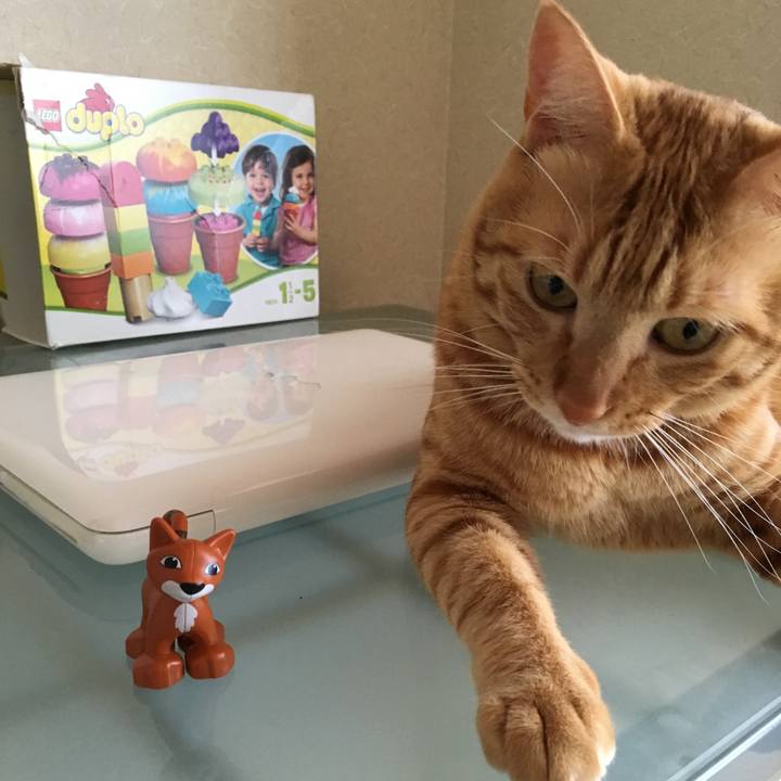 E27f747e bc49 4db4 a1a0 b81e3d45e6ee