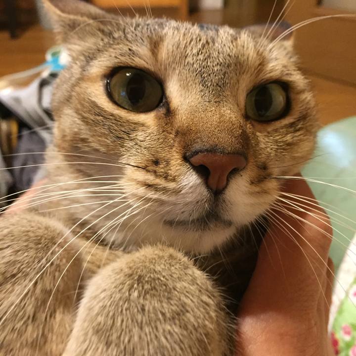 E27fa60e 6137 4e51 bb5e 30e2cc8ae6f3