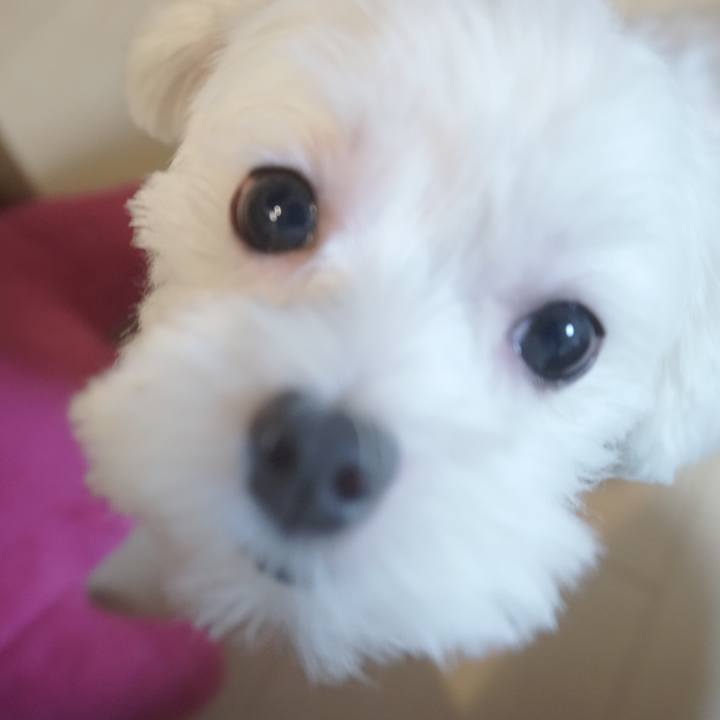 E27fdfd9 bd01 4746 a121 ff2d0559d567