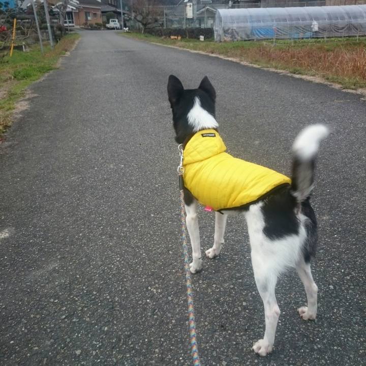 E2802861 6356 4e51 aa8e 4e8affc51171