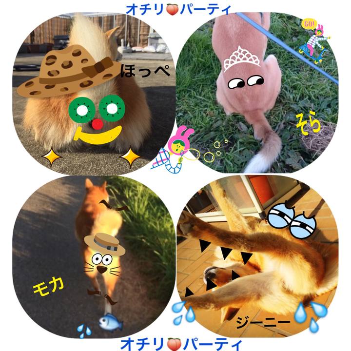 E2802879 4585 4194 af7b e99c1bf4e1fd