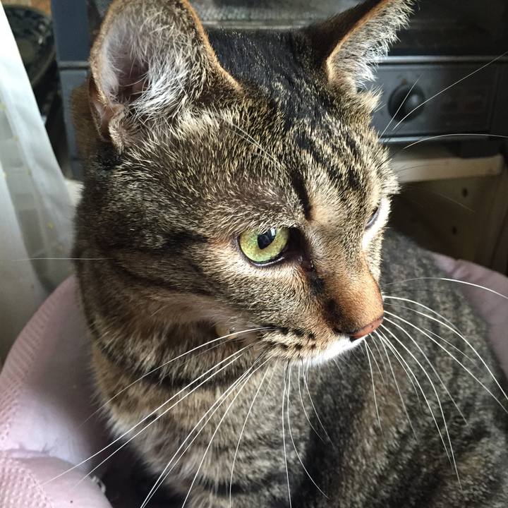 E28030fe 41a0 4653 a6d0 9c75bcc26566