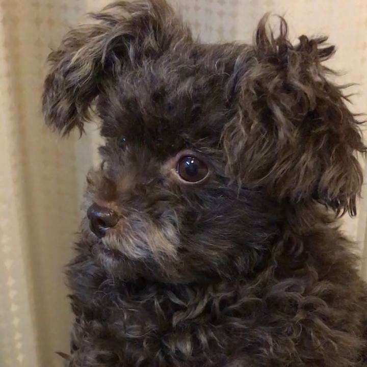 E2810e73 de64 402b 84e5 ab8cfee1b063