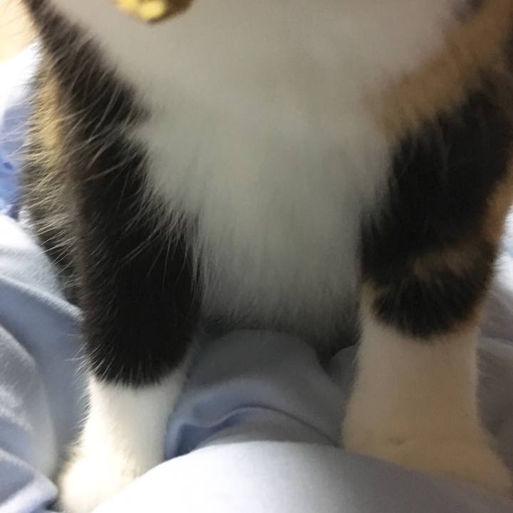 E2817afc 325e 4ab7 88ac 15401f7716f9