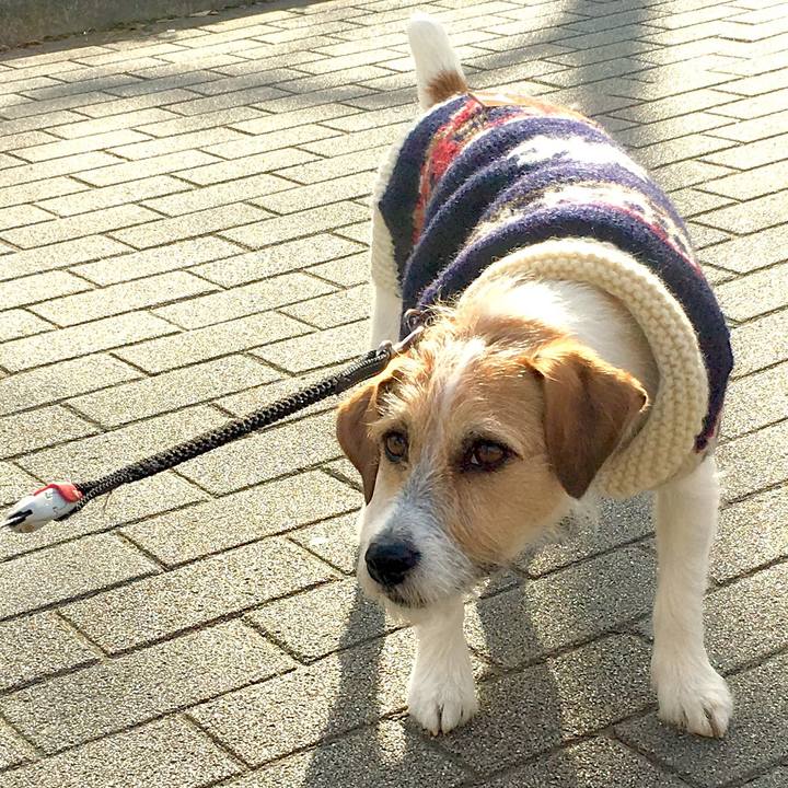 E281dc75 96a1 4f8a 8cf1 fe9a7b6ddf07