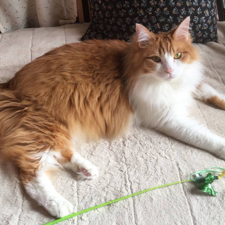 E28206e9 4db8 48f7 97f2 d57abe9201b7