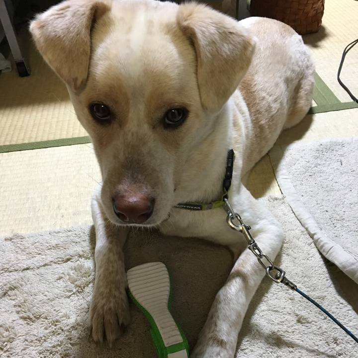 E28404da 474a 45dc 9b8d 26bc4c74c90e