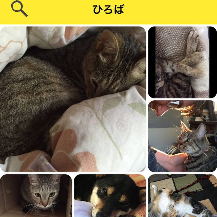 E2847c23 78cb 4f1a b18d 8f0355b7d289