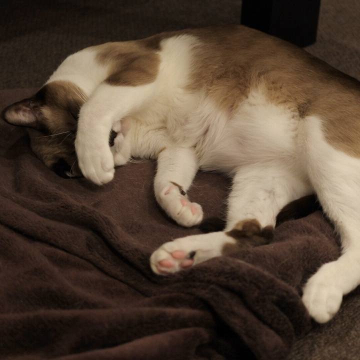 E284c46f a841 452d b846 a4bdbcb7397f