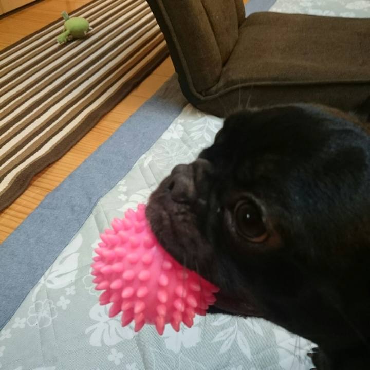 E284efc7 295a 49ac a77f b5903d5b3bd7