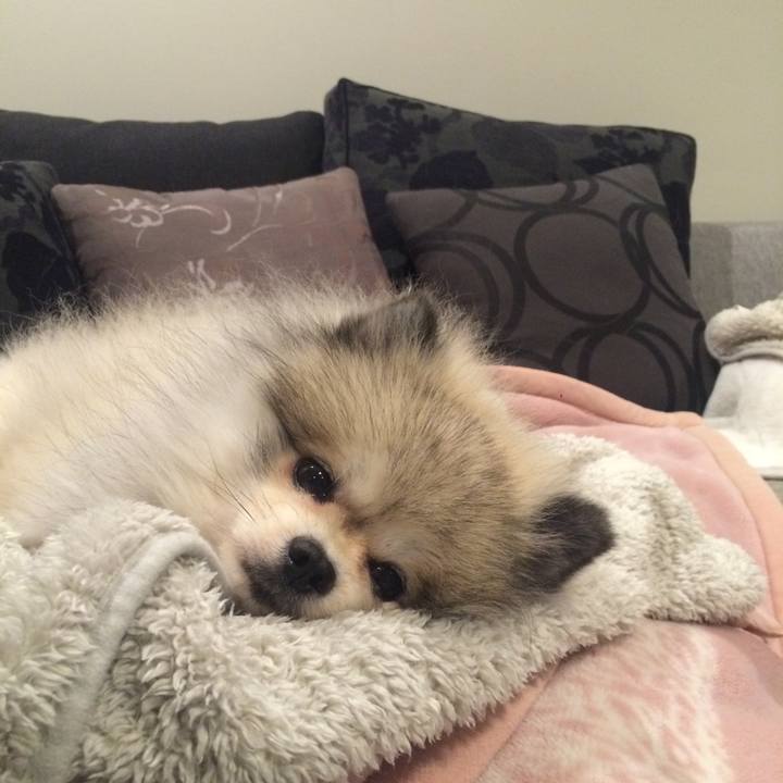 E2879de7 0a2d 47d5 902b 0612342ca860