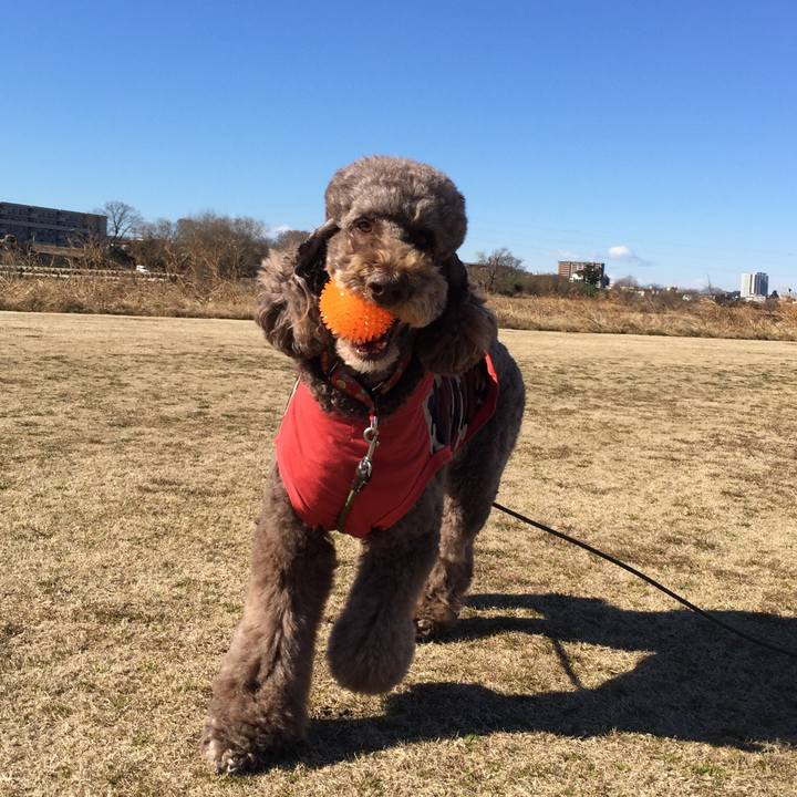 E287e48e c15b 4067 8256 ff6efb6d4044