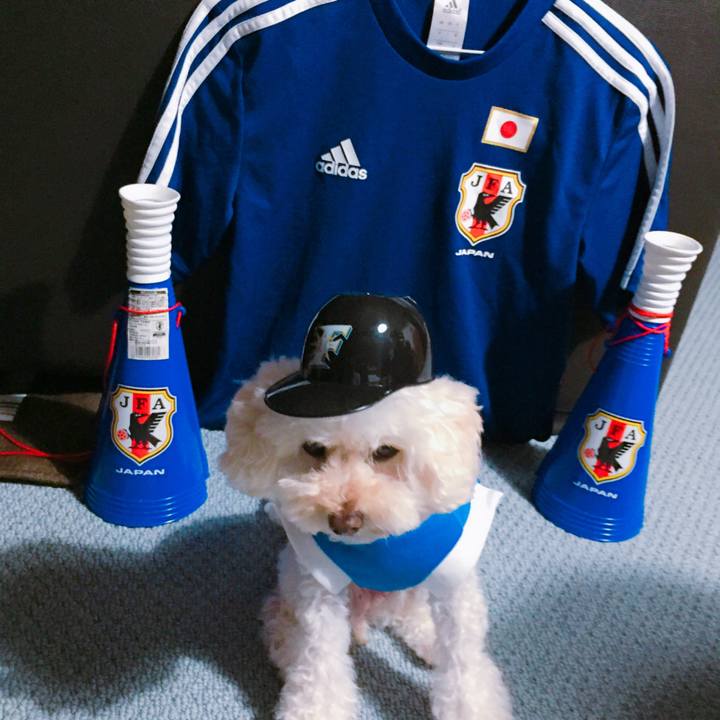 E2880a26 44a5 4f7b a69d 020fcb427e79