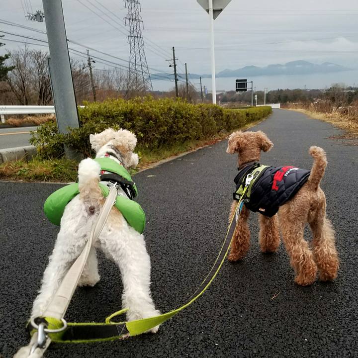 E2894d3e 8e86 4873 a5c9 e1a665337c14