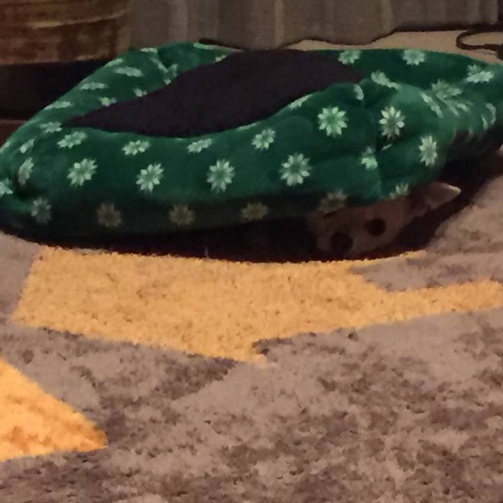 E28955e3 6dca 4808 bf87 fba7f21727e5