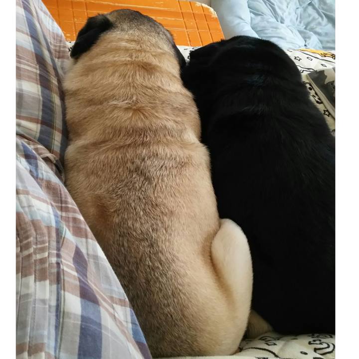 E289d518 e10e 4a04 b91d f4f7467ea674